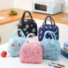 Insulated Reusable Lunch Bag
